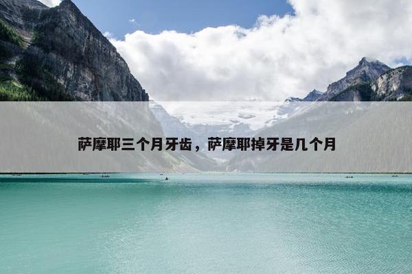 萨摩耶三个月牙齿，萨摩耶掉牙是几个月