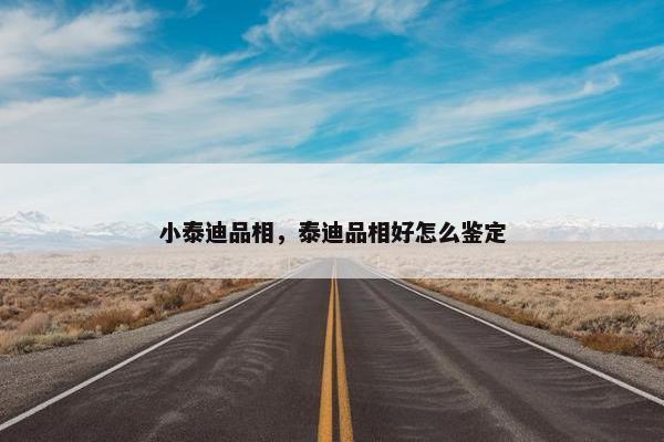 小泰迪品相，泰迪品相好怎么鉴定