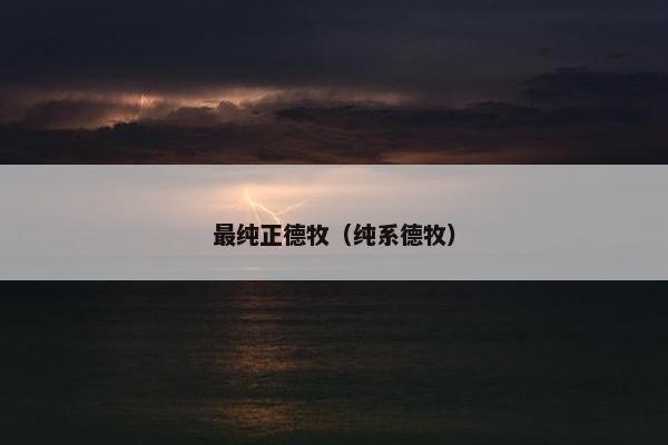 最纯正德牧（纯系德牧）