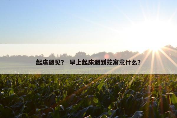 起床遇见？ 早上起床遇到蛇寓意什么？