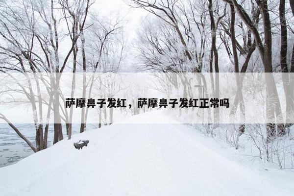 萨摩鼻子发红，萨摩鼻子发红正常吗