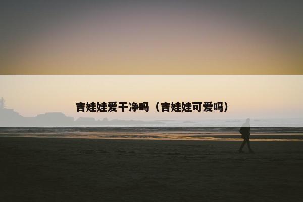 吉娃娃爱干净吗（吉娃娃可爱吗）