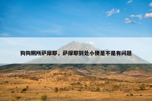 狗狗厕所萨摩耶，萨摩耶到处小便是不是有问题