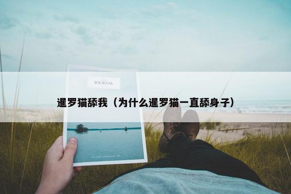 暹罗猫舔我（为什么暹罗猫一直舔身子）