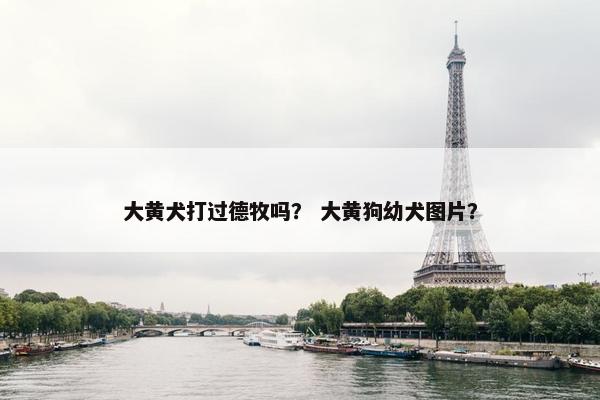 大黄犬打过德牧吗？ 大黄狗幼犬图片？