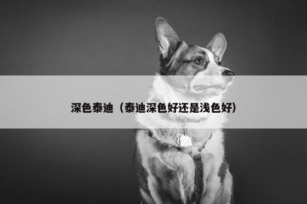 深色泰迪（泰迪深色好还是浅色好）
