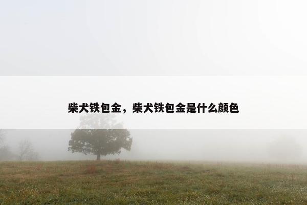 柴犬铁包金，柴犬铁包金是什么颜色