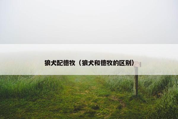 狼犬配德牧（狼犬和德牧的区别）