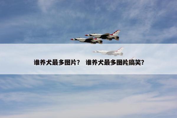 谁养犬最多图片？ 谁养犬最多图片搞笑？