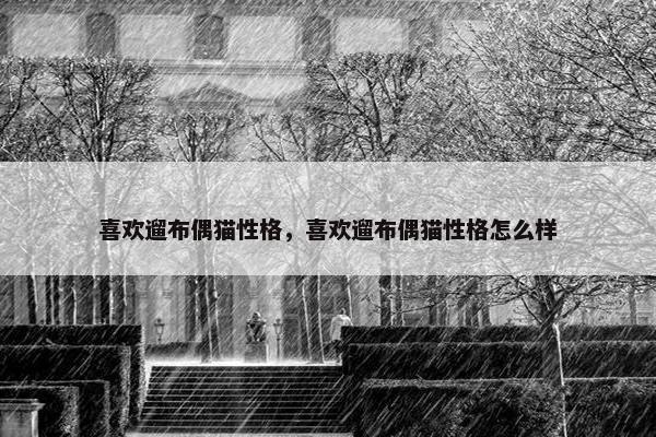 喜欢遛布偶猫性格，喜欢遛布偶猫性格怎么样