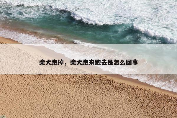柴犬跑掉，柴犬跑来跑去是怎么回事