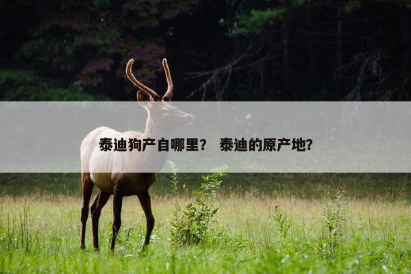 泰迪狗产自哪里？ 泰迪的原产地？