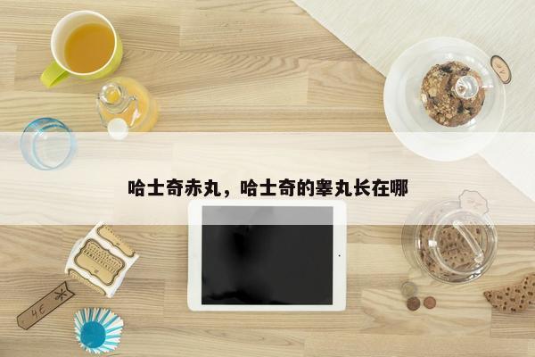 哈士奇赤丸，哈士奇的睾丸长在哪