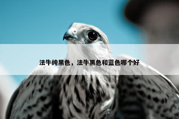 法牛纯黑色，法牛黑色和蓝色哪个好