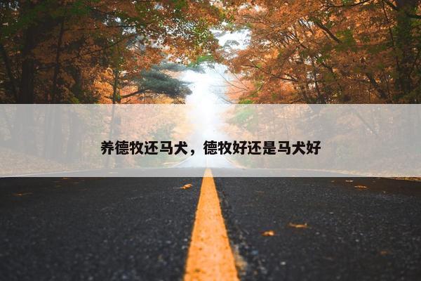 养德牧还马犬，德牧好还是马犬好