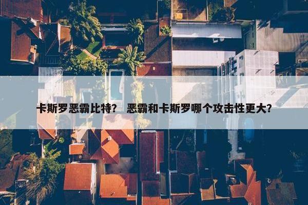 卡斯罗恶霸比特？ 恶霸和卡斯罗哪个攻击性更大？