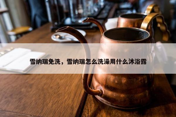 雪纳瑞免洗，雪纳瑞怎么洗澡用什么沐浴露
