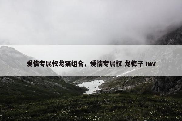 爱情专属权龙猫组合，爱情专属权 龙梅子 mv