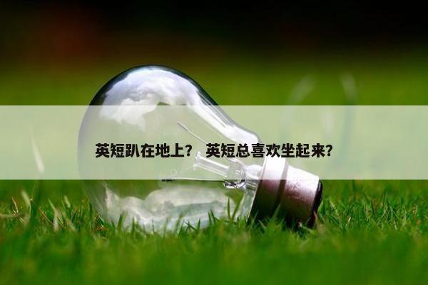 英短趴在地上？ 英短总喜欢坐起来？