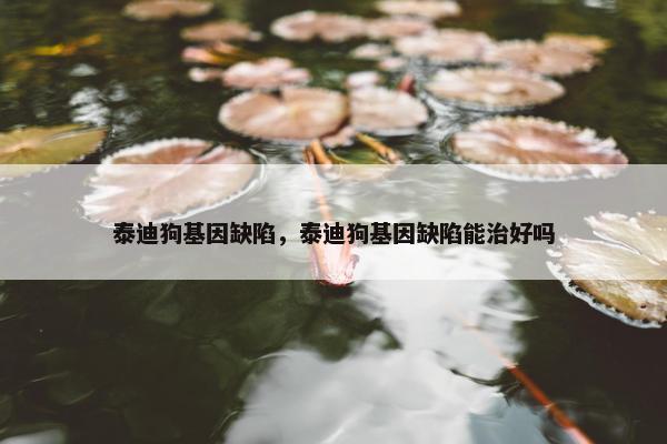 泰迪狗基因缺陷，泰迪狗基因缺陷能治好吗