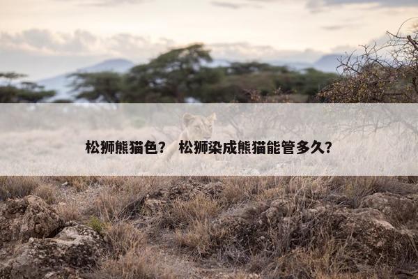 松狮熊猫色？ 松狮染成熊猫能管多久？