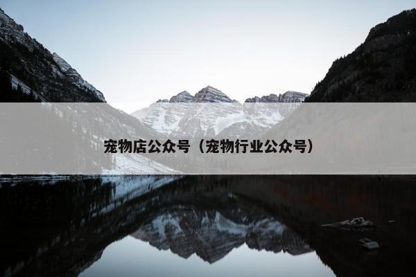 宠物店公众号（宠物行业公众号）