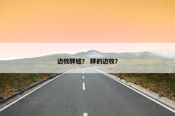 边牧胖妞？ 胖的边牧？