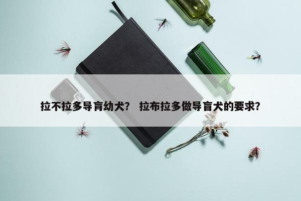 拉不拉多导肓幼犬？ 拉布拉多做导盲犬的要求？