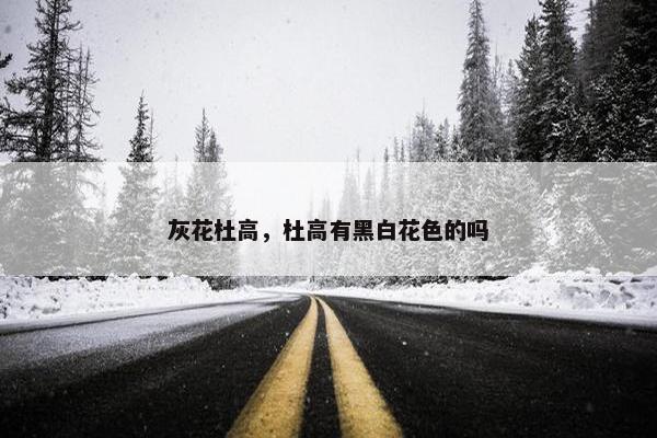 灰花杜高，杜高有黑白花色的吗