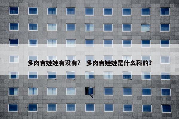 多肉吉娃娃有没有？ 多肉吉娃娃是什么科的？