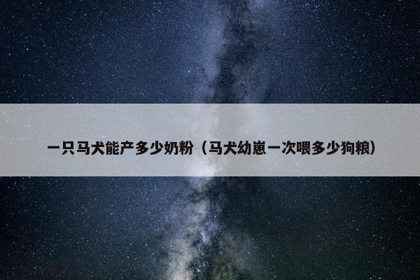 一只马犬能产多少奶粉（马犬幼崽一次喂多少狗粮）
