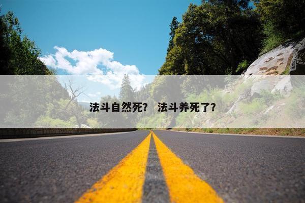 法斗自然死？ 法斗养死了？