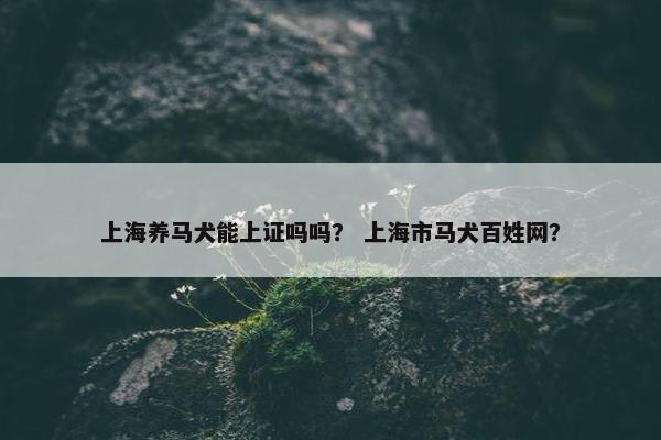 上海养马犬能上证吗吗？ 上海市马犬百姓网？