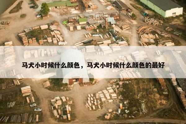 马犬小时候什么颜色，马犬小时候什么颜色的最好