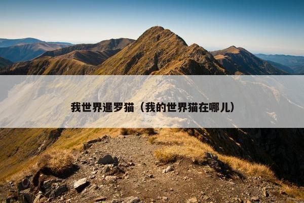 我世界暹罗猫（我的世界猫在哪儿）