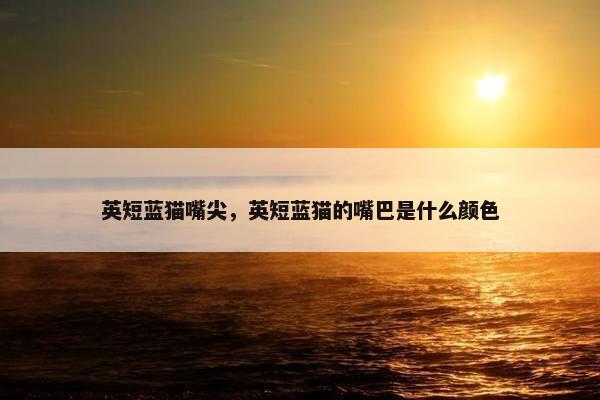 英短蓝猫嘴尖，英短蓝猫的嘴巴是什么颜色