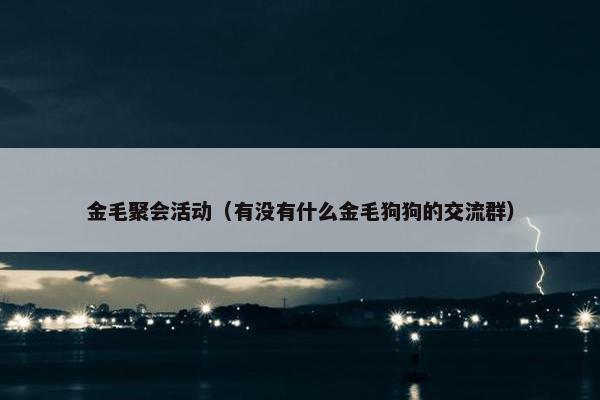 金毛聚会活动（有没有什么金毛狗狗的交流群）