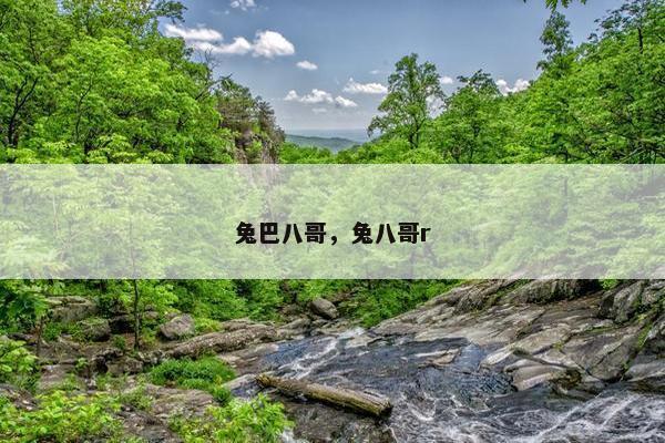 兔巴八哥，兔八哥r