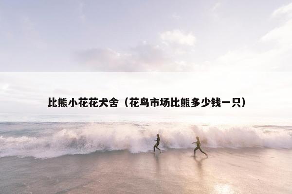比熊小花花犬舍（花鸟市场比熊多少钱一只）