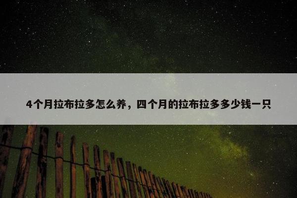 4个月拉布拉多怎么养，四个月的拉布拉多多少钱一只