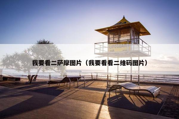 我要看二萨摩图片（我要看看二维码图片）