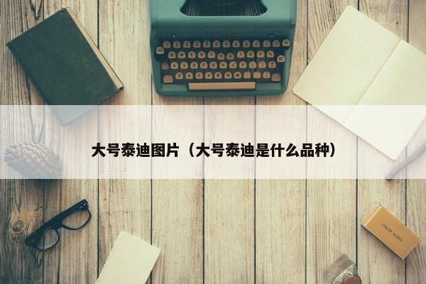 大号泰迪图片（大号泰迪是什么品种）