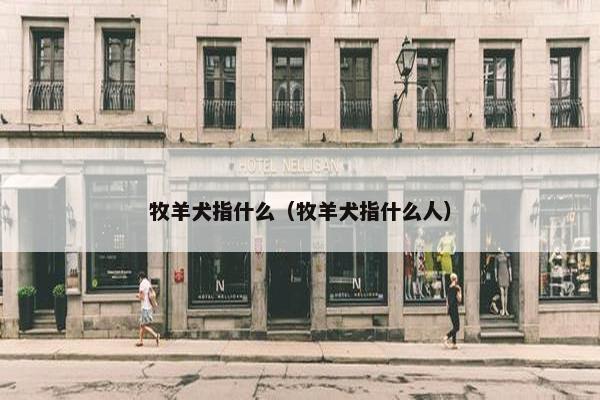 牧羊犬指什么（牧羊犬指什么人）