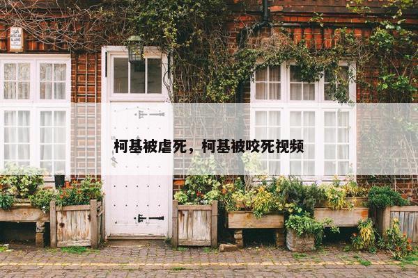 柯基被虐死，柯基被咬死视频