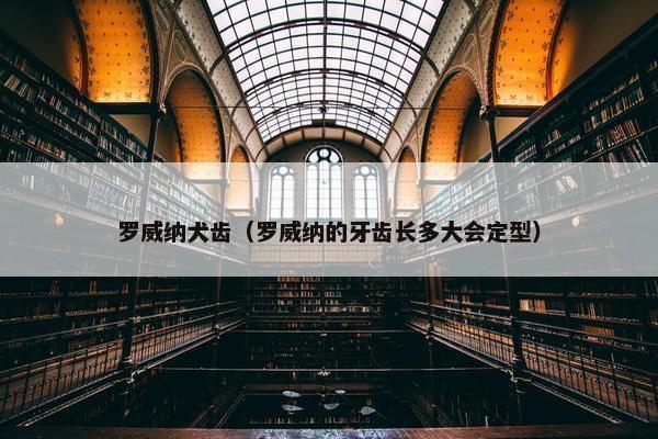 罗威纳犬齿（罗威纳的牙齿长多大会定型）