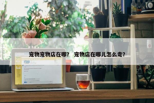 宠物宠物店在哪？ 宠物店在哪儿怎么走？