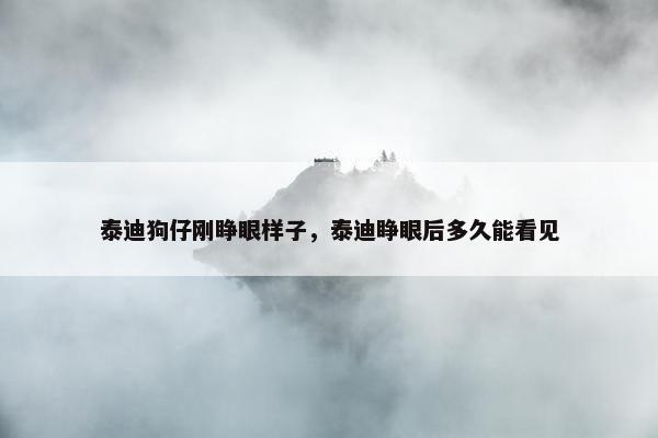 泰迪狗仔刚睁眼样子，泰迪睁眼后多久能看见