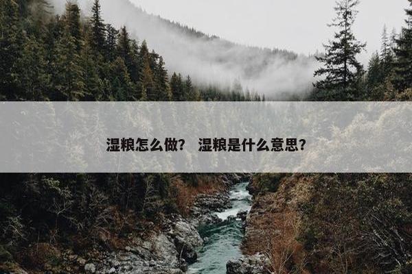 湿粮怎么做？ 湿粮是什么意思？