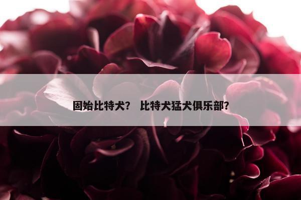 固始比特犬？ 比特犬猛犬俱乐部？