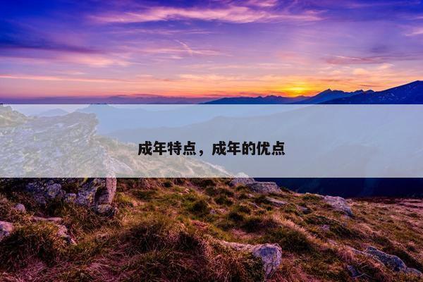 成年特点，成年的优点